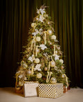 Christmas In A Box - Park Avenue