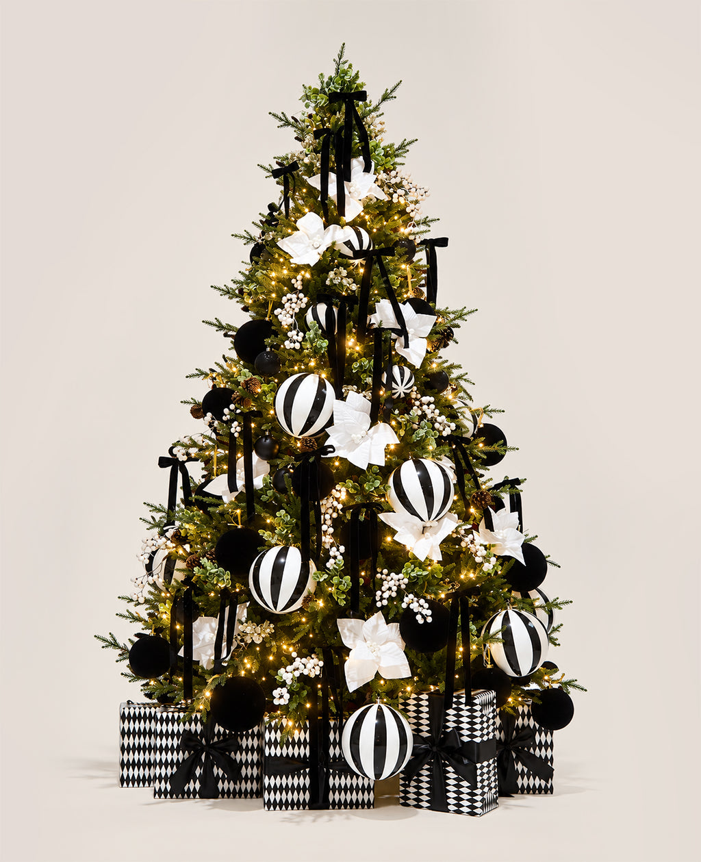 Christmas In A Box - Penthouse