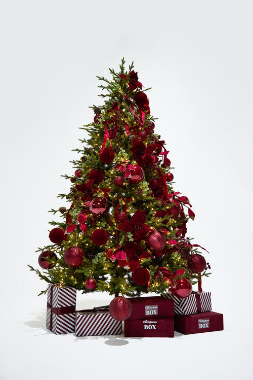 Christmas In A Box